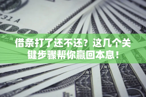 武汉借条打了还不还？这几个关键步骤帮你赢回本息！