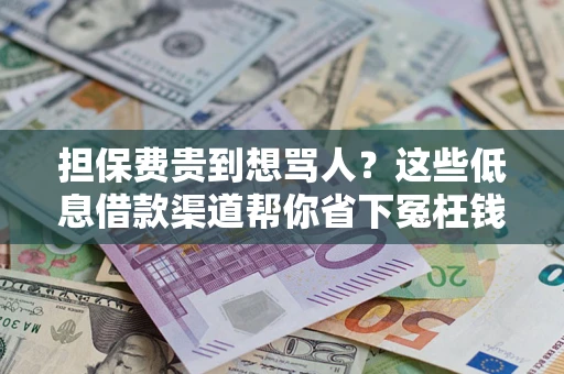 武汉担保费贵到想骂人？这些低息借款渠道帮你省下冤枉钱
