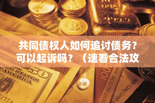 武汉共同债权人如何追讨债务？可以起诉吗？（速看合法攻略）